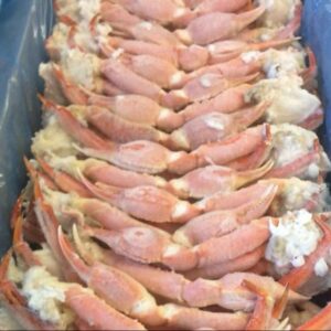 Tanner Crab
